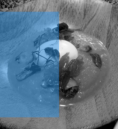 La Petite Plume - Restaurant Villefranche-de-Lauragais - bon restaurant VILLEFRANCHE-DE-LAURAGAIS